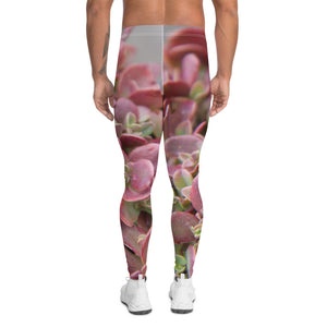 Succulent Pink Men's Leggings