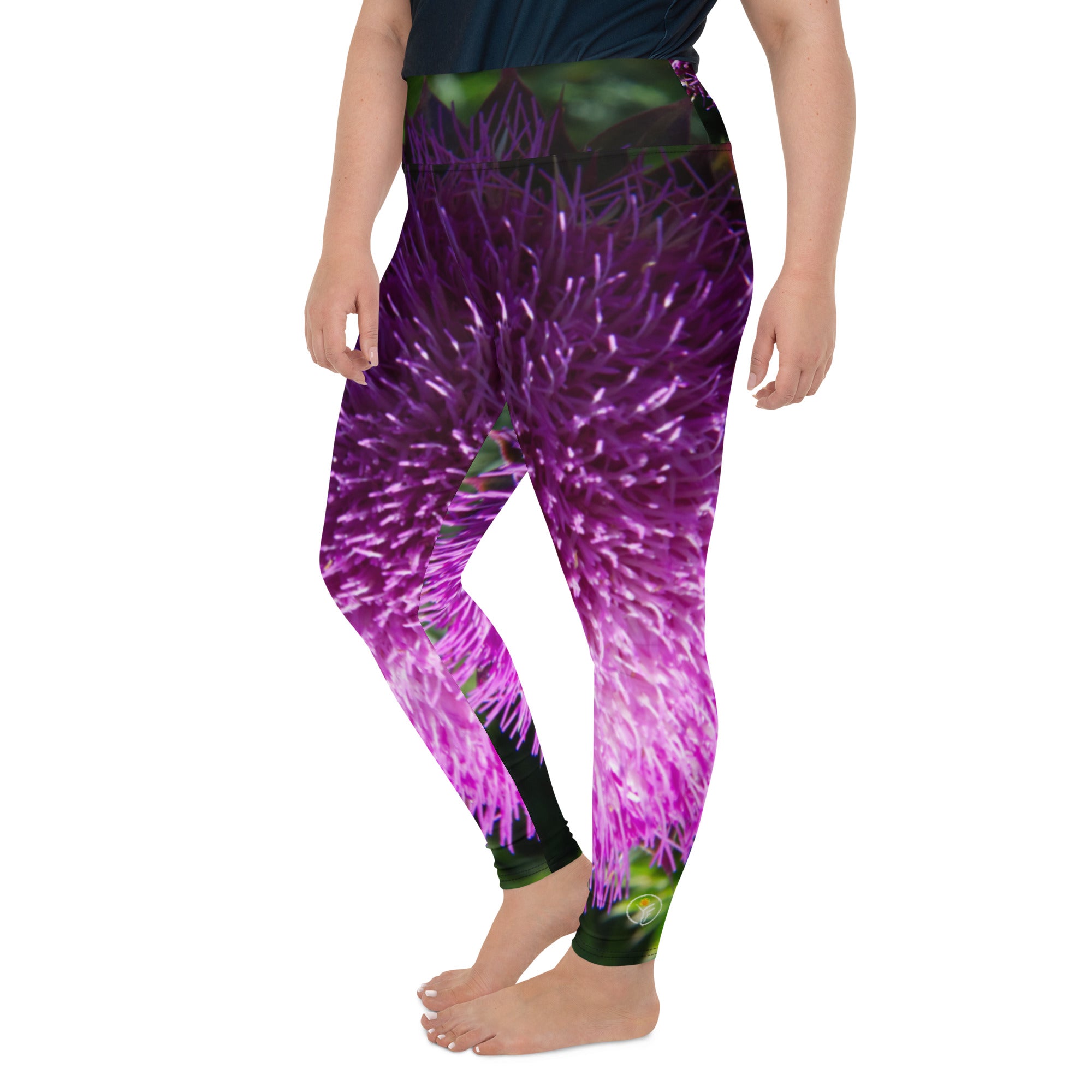 Thistle Ombre Plus Size Leggings