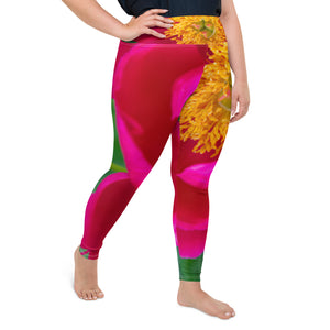 Bewitched Plus Size Leggings