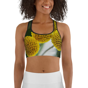 Balls to the Wall Sports Bra