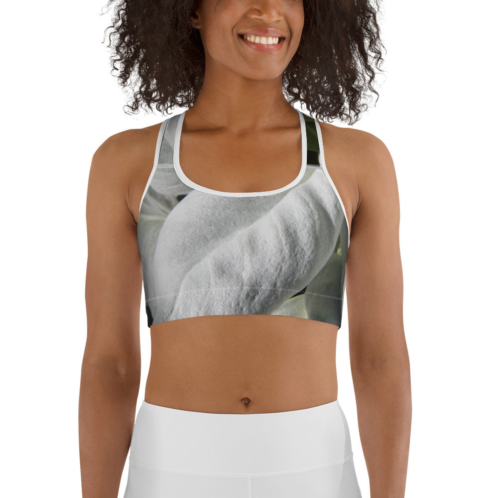 Angel Wings Sports Bra