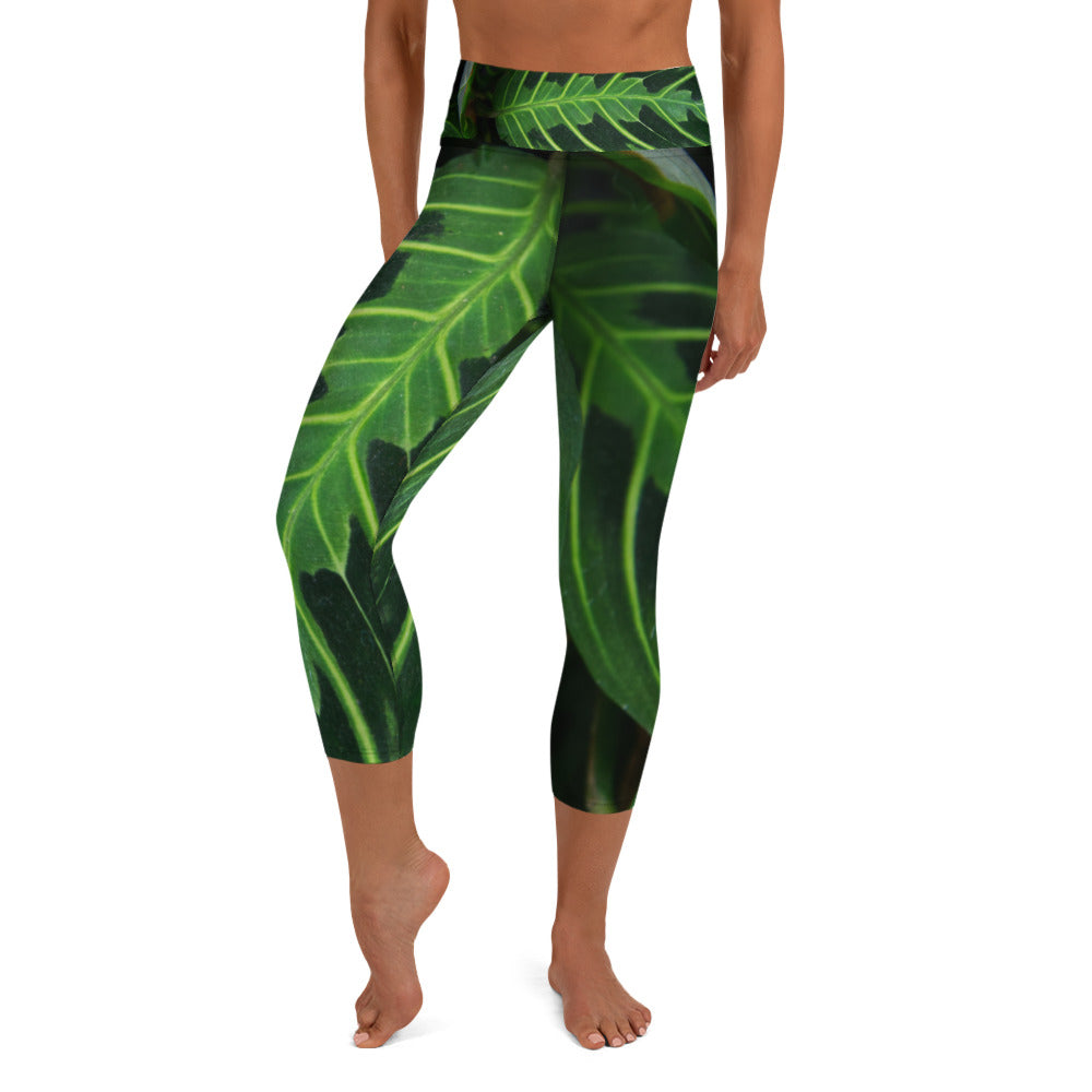 Green Arrow Yoga Capris