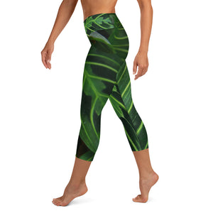 Green Arrow Yoga Capris