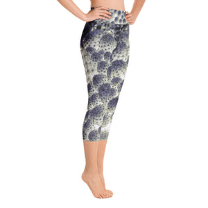 Otherworldly Yoga Capris