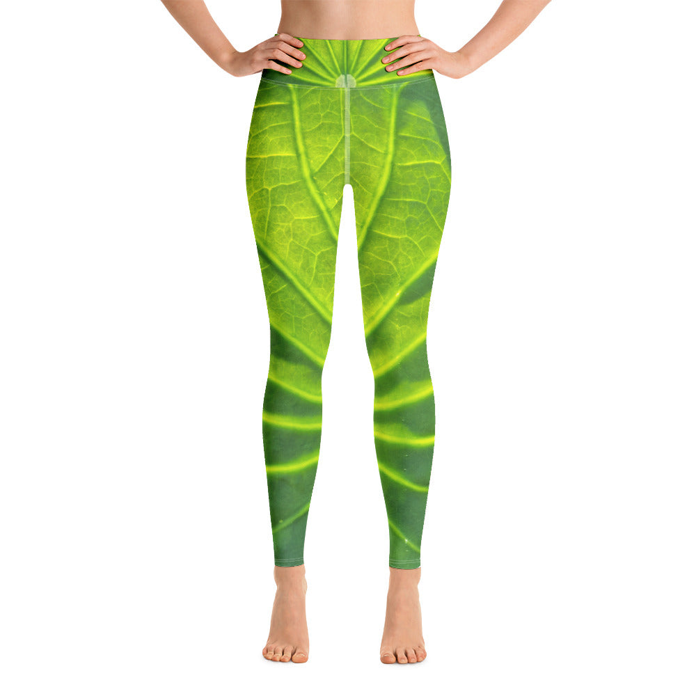 Verde Shield Yoga Leggings – YoniFlower Collections