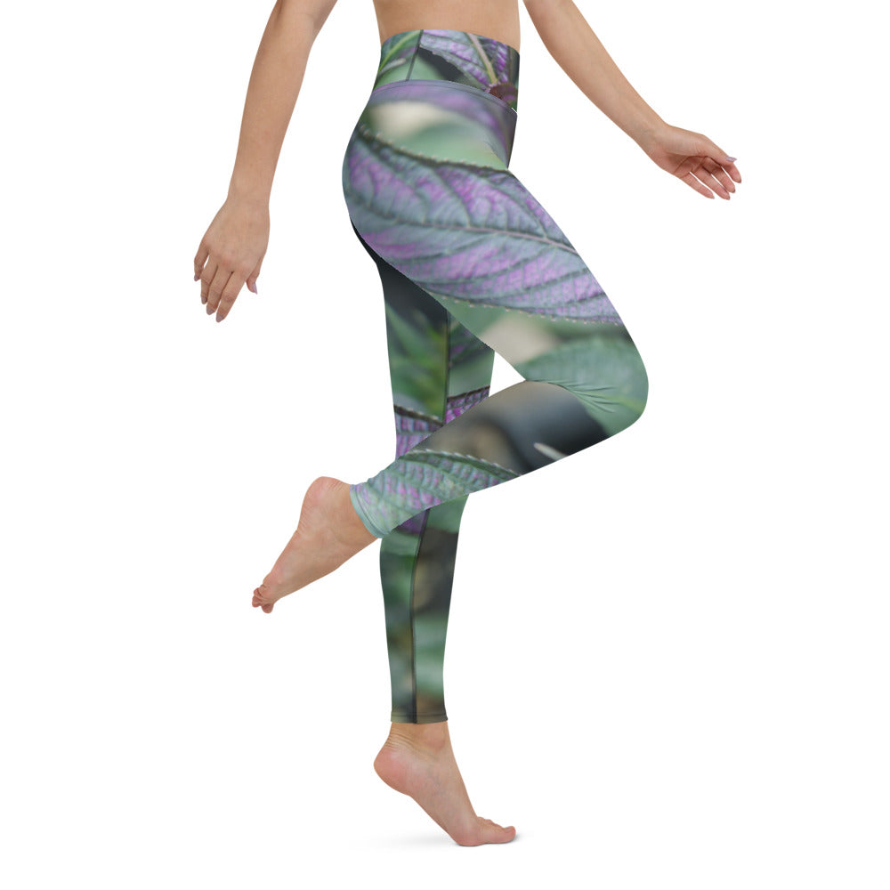 Wrap Me Green Yoga Leggings