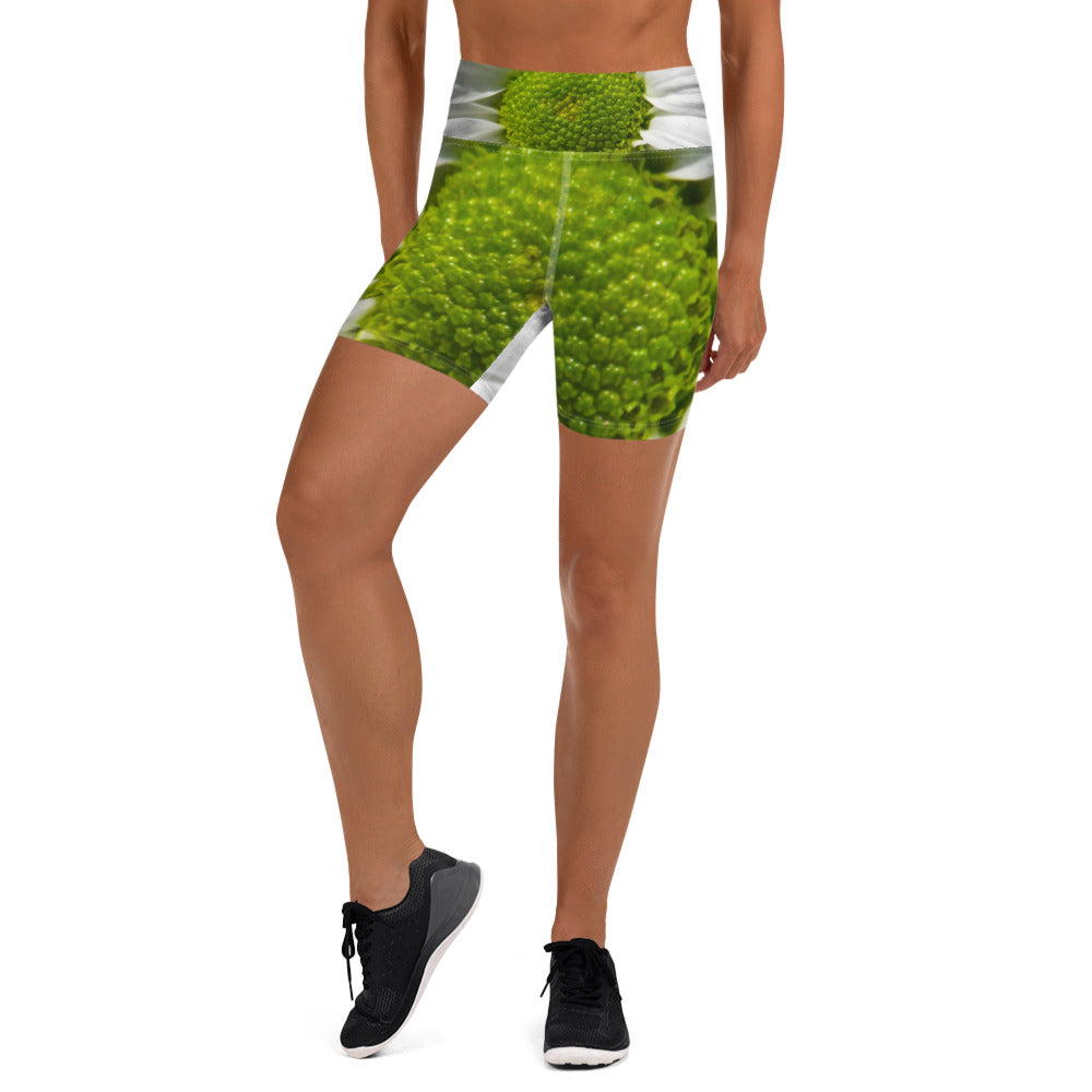 Green Light Yoga Shorts
