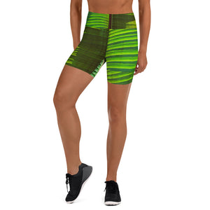 Tropic It's a Wrap Yoga Shorts